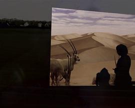 爱情兵法 封面图